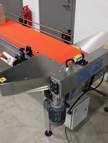 Accumulation Conveyor for a Robotic Packer