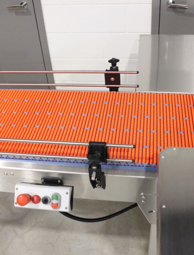 Accumulation Conveyor for a Robotic Packer