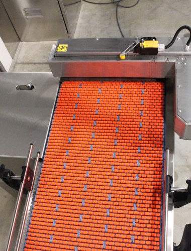 Accumulation Conveyor for a Robotic Packer