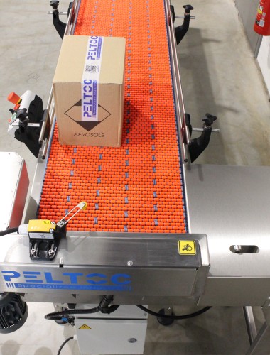 Accumulation Conveyor for a Robotic Packer