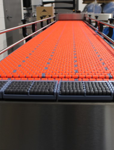 Accumulation Conveyor for a Robotic Packer